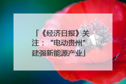 《经济日报》关注：“电动贵州”建强新能源产业