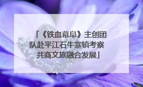 《铁血幕阜》主创团队赴平江石牛寨镇考察 共商文旅融合发展