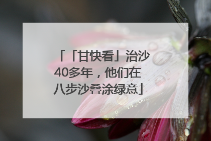 「甘快看」治沙40多年，他们在八步沙叠涂绿意