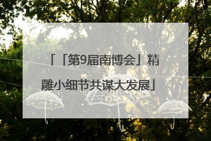 「第9届南博会」精雕小细节共谋大发展