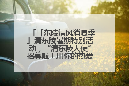「东陵清风消夏季」清东陵暑期特别活动，“清东陵大使”招募啦！用你的热爱守护世界遗产！