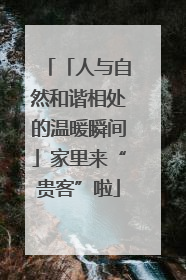 「人与自然和谐相处的温暖瞬间」家里来“贵客”啦