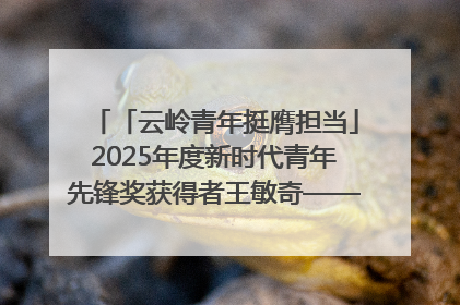 「云岭青年挺膺担当」2025年度新时代青年先锋奖获得者王敏奇——澜沧江上好渔人