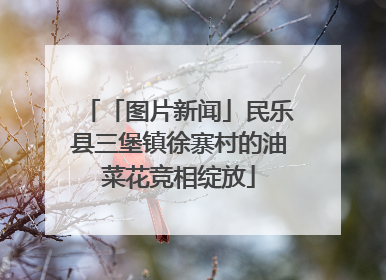 「图片新闻」民乐县三堡镇徐寨村的油菜花竞相绽放