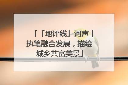 「地评线」河声丨执笔融合发展，描绘城乡共富美景