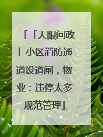 「天眼问政」小区消防通道设道闸，物业：违停太多规范管理
