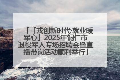 「戎创新时代·就业暖军心」2025年铜仁市退役军人专场招聘会暨直播带岗活动顺利举行