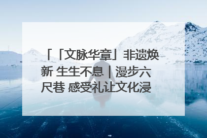 「文脉华章」非遗焕新 生生不息｜漫步六尺巷 感受礼让文化浸润的“巷”往生活