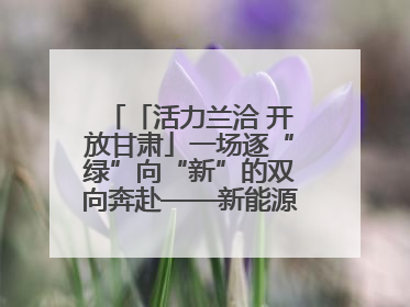 「活力兰洽 开放甘肃」一场逐“绿”向“新”的双向奔赴——新能源及新能源装备制造产业投资发展对接活动扫描