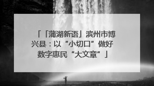 「蒲湖新语」滨州市博兴县：以“小切口”做好数字惠民“大文章”