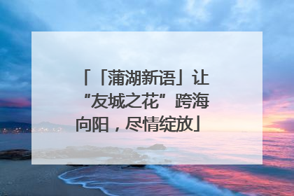 「蒲湖新语」让“友城之花”跨海向阳，尽情绽放
