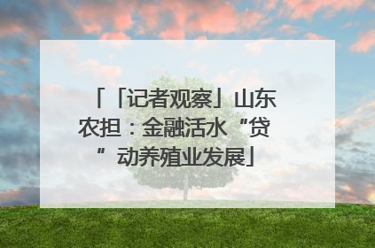 「记者观察」山东农担：金融活水“贷”动养殖业发展