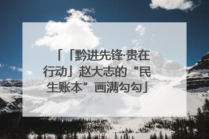 「黔进先锋·贵在行动」赵大志的“民生账本”画满勾勾