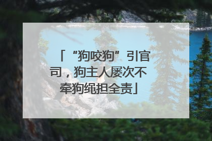 “狗咬狗”引官司，狗主人屡次不牵狗绳担全责