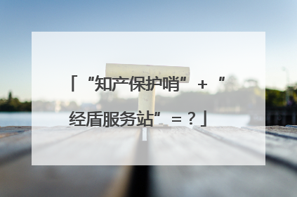 “知产保护哨”+“经盾服务站”=？