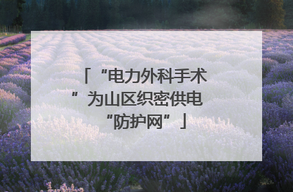 “电力外科手术”为山区织密供电“防护网”