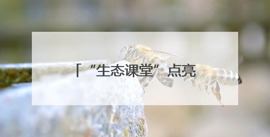 “生态课堂”点亮国际生物多样性日：金山区青少年探秘自然共筑生命家园