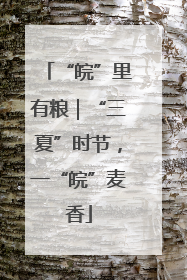 “皖”里有粮｜“三夏”时节，一“皖”麦香