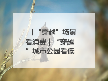 “穿越”场景看消费｜“穿越”城市公园看低空消费新场景