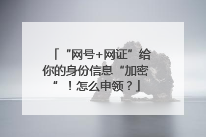 “网号+网证”给你的身份信息“加密”！怎么申领？