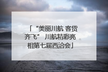 “美丽川航 客货齐飞” 川航精彩亮相第七届西洽会