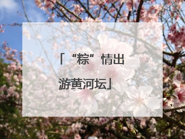 “粽”情出游黄河坛