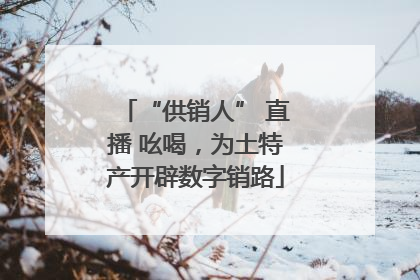 “供销人” 直播 吆喝，为土特产开辟数字销路