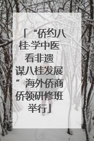 “侨约八桂·学中医 看非遗 谋八桂发展”海外侨商侨领研修班举行