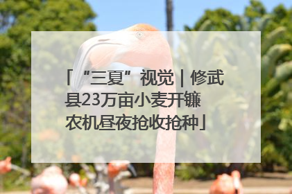 “三夏”视觉｜修武县23万亩小麦开镰 农机昼夜抢收抢种