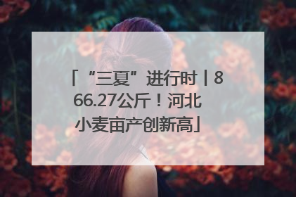 “三夏”进行时丨866.27公斤！河北小麦亩产创新高