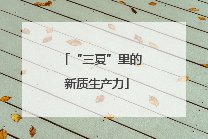 “三夏”里的新质生产力
