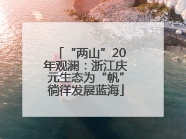 “两山”20年观澜：浙江庆元生态为“帆”徜徉发展蓝海
