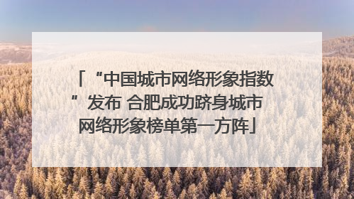 “中国城市网络形象指数”发布 合肥成功跻身城市网络形象榜单第一方阵
