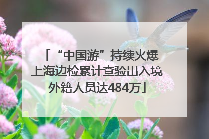 “中国游”持续火爆 上海边检累计查验出入境外籍人员达484万