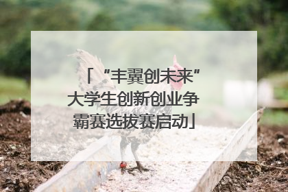 “丰翼创未来”大学生创新创业争霸赛选拔赛启动