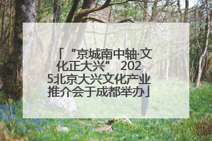 “京城南中轴·文化正大兴” 2025北京大兴文化产业推介会于成都举办