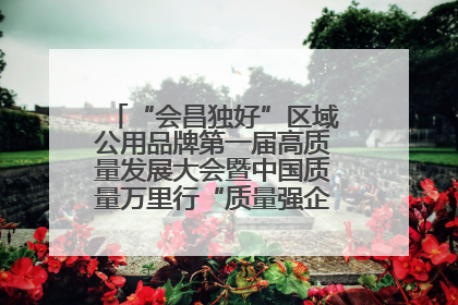 “会昌独好”区域公用品牌第一届高质量发展大会暨中国质量万里行“质量强企•质品行动”进会昌启动仪式成功举办
