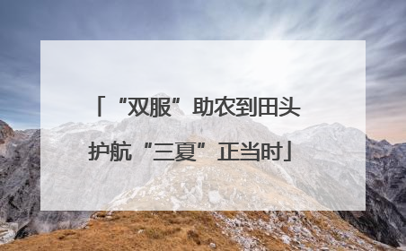 “双服”助农到田头 护航“三夏”正当时