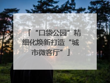 “口袋公园”精细化焕新打造“城市微客厅”