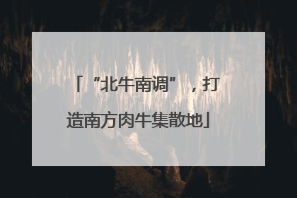 “北牛南调”，打造南方肉牛集散地