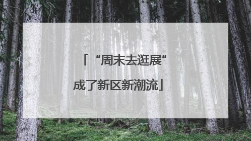 “周末去逛展”成了新区新潮流