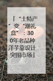 “土特产”变“潮礼盒”：300年老品种洋芋靠设计突围市场