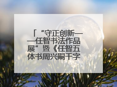 “守正创新——任智书法作品展”暨《任智五体书周兴嗣千字文七种》图书发行仪式在京举