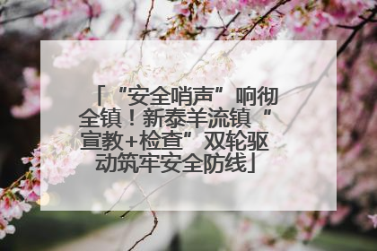 “安全哨声”响彻全镇！新泰羊流镇“宣教+检查”双轮驱动筑牢安全防线