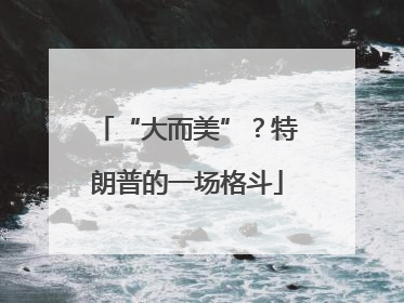 “大而美”？特朗普的一场格斗