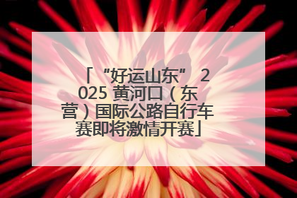 “好运山东” 2025 黄河口（东营）国际公路自行车赛即将激情开赛