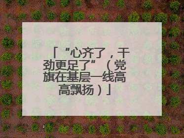 “心齐了，干劲更足了”（党旗在基层一线高高飘扬）