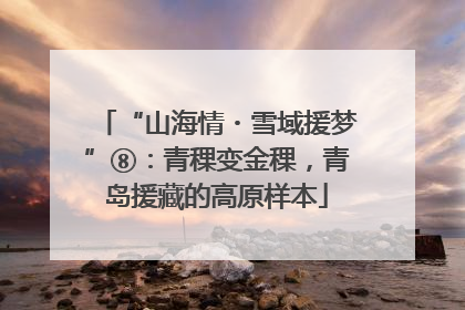 “山海情・雪域援梦”⑧：青稞变金稞，青岛援藏的高原样本