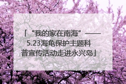 “我的家在南海”——5.23海龟保护主题科普宣传活动走进永兴岛