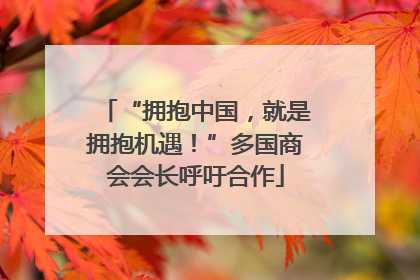“拥抱中国，就是拥抱机遇！”多国商会会长呼吁合作